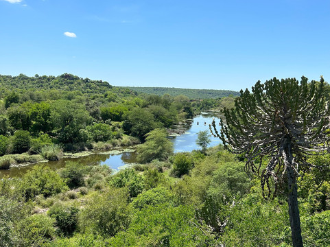 Singita Lebombo小屋主图