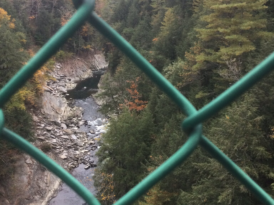 Quechee General Store-伍德斯托克必去景点