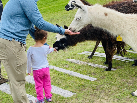 Ecuador Best Tours-基多必去景点