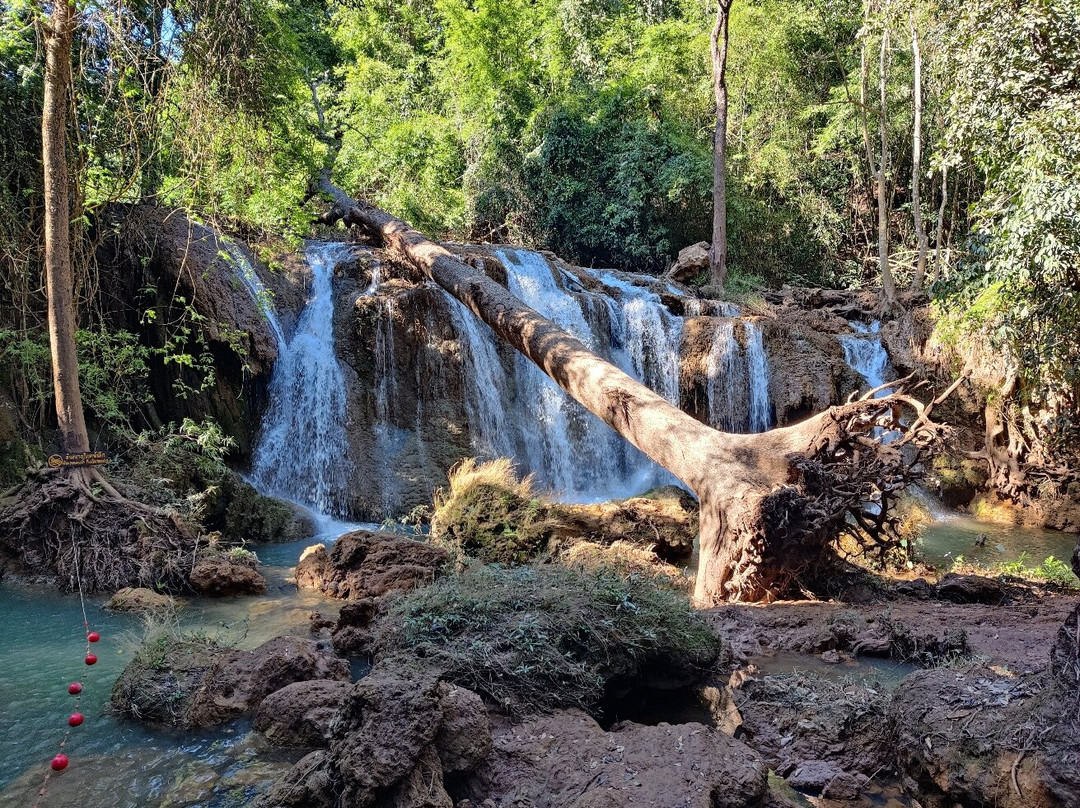 Doi Phu Nang National Park-清芒必去景点