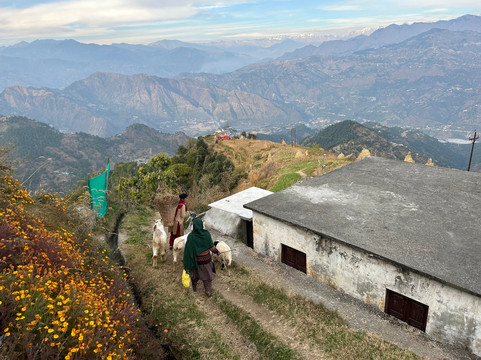 NotOnMap Mystic Village主图