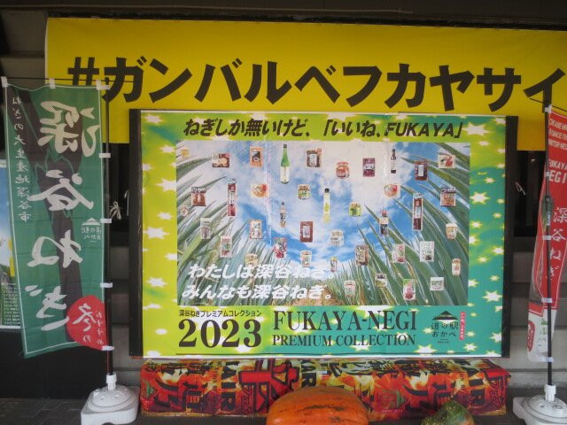 Michi-no-Eki Okabe-深谷市必去景点