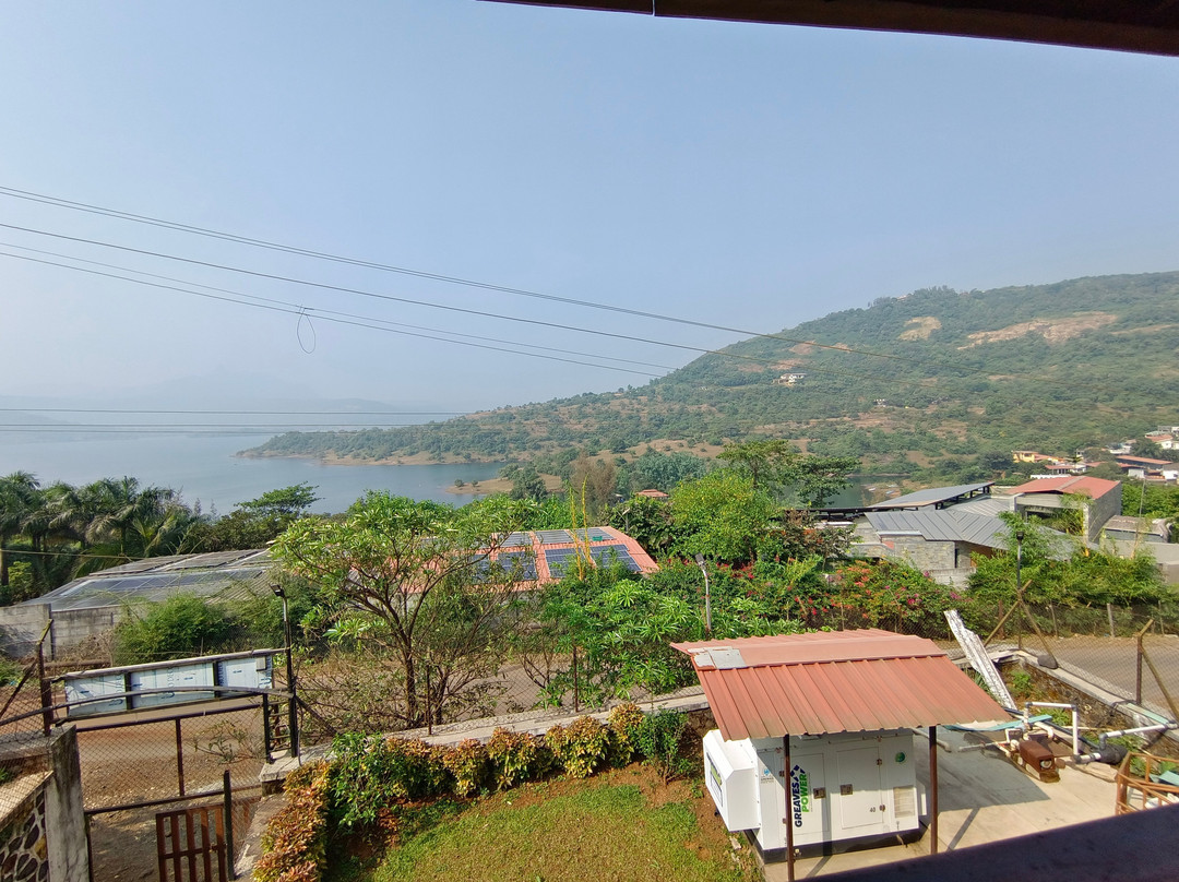 Green Velvet Resort主图