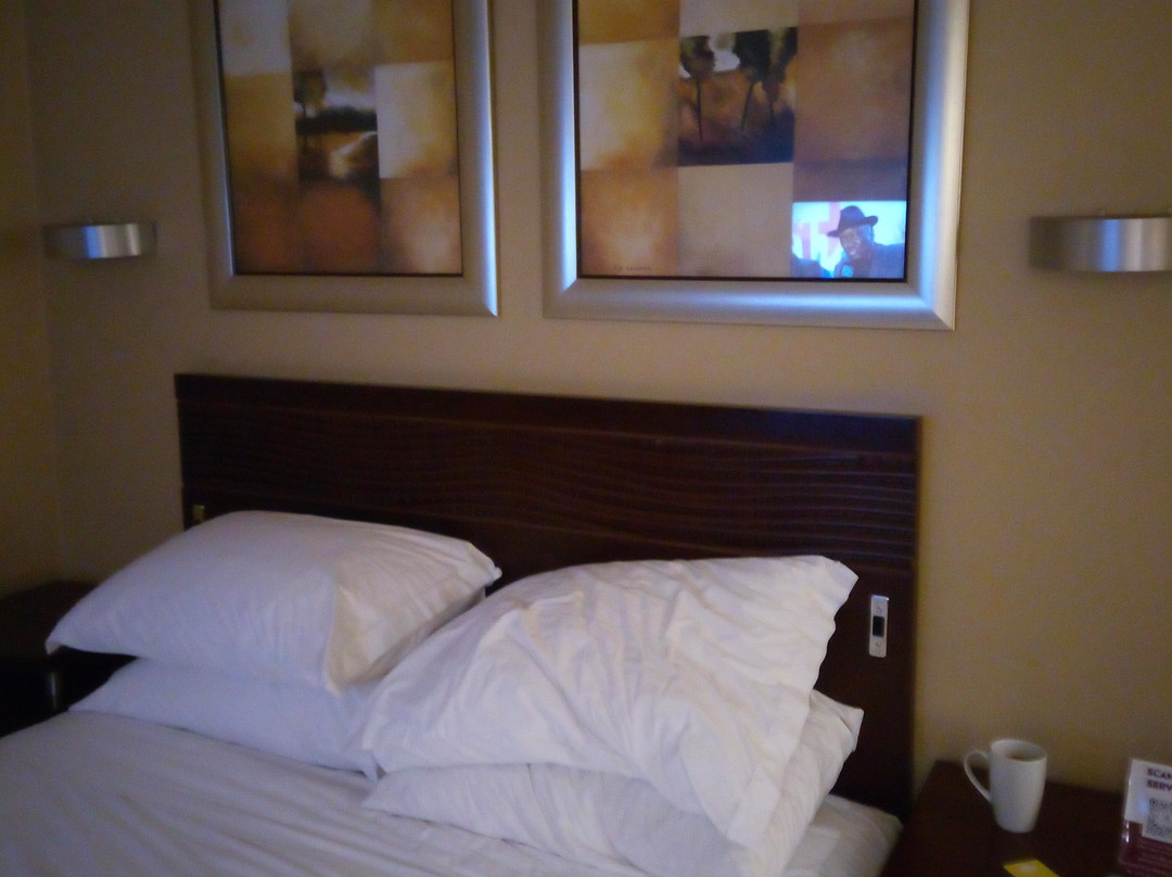 City Lodge Hotel Johannesburg Airport主图