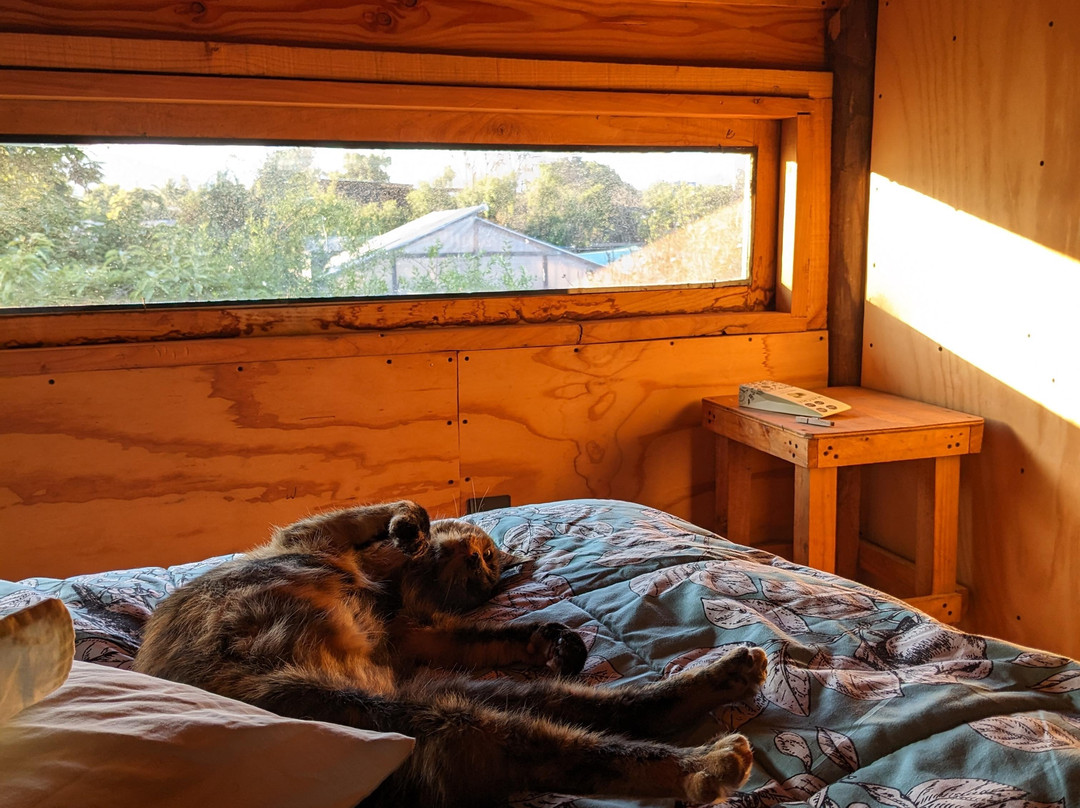 Bufo Eventos Culinarios & Excursiones-瓦尔帕莱索必去景点