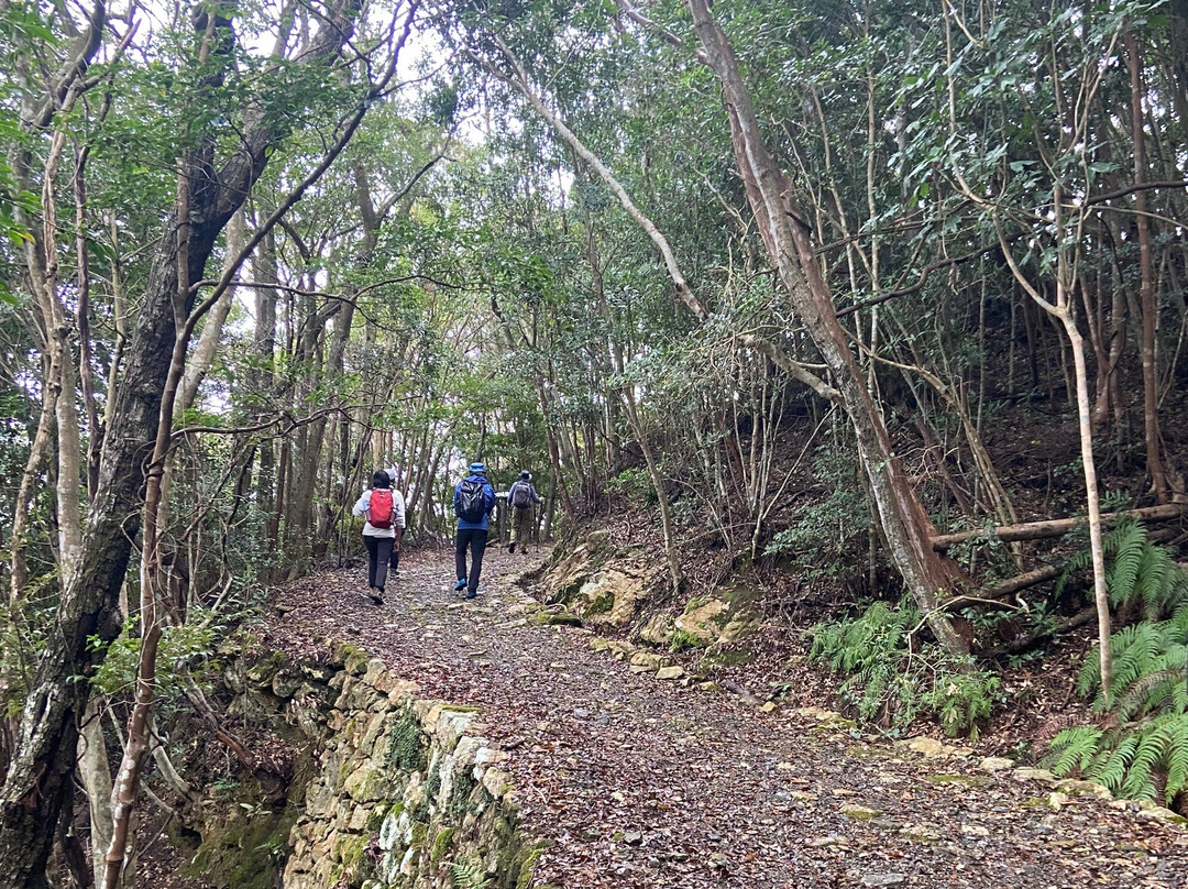 Kaneda Castle Ruins-对马市必去景点