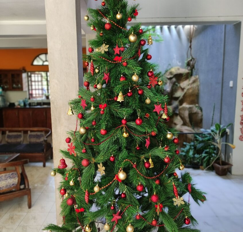 维拉塔普洛班旅馆主图