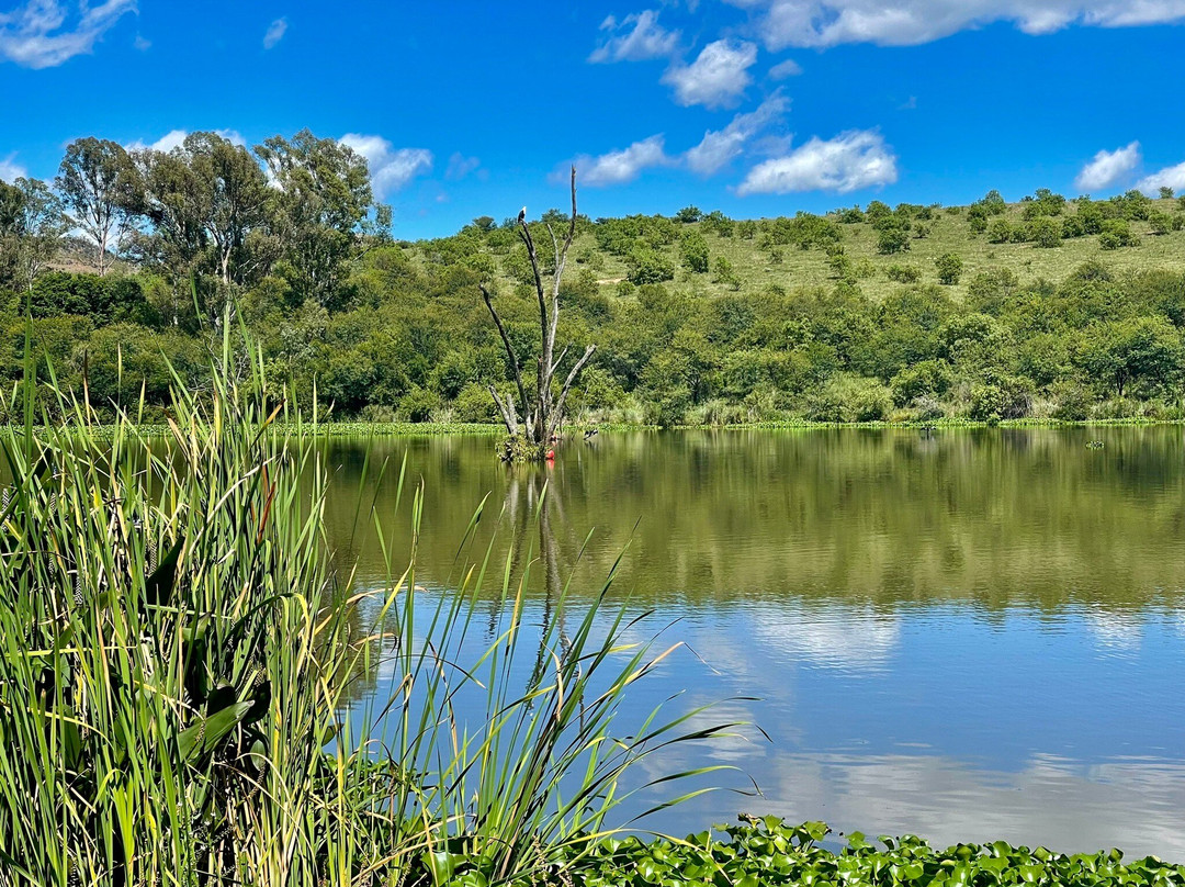 Shane Gouldie-约翰内斯堡必去景点