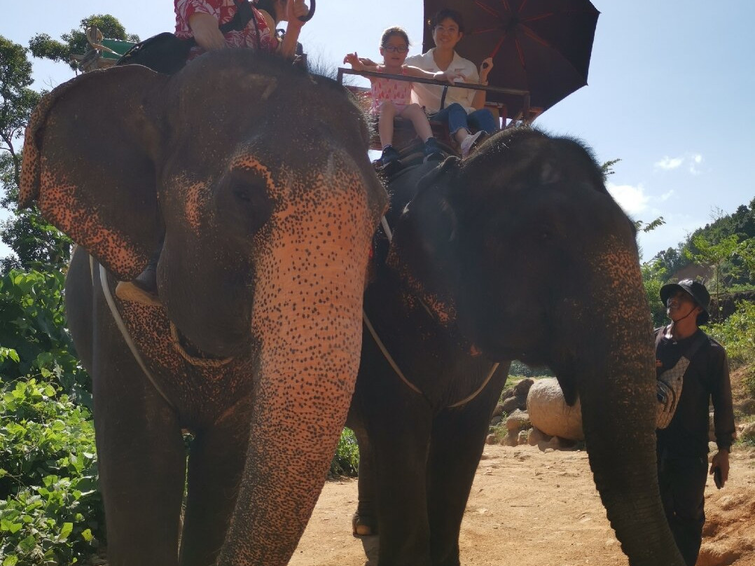 Chai Driver in Phuket-普吉镇必去景点