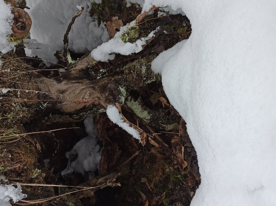 Notre Dame de Bellecombe Tourisme-Notre Dame de Bellecombe必去景点