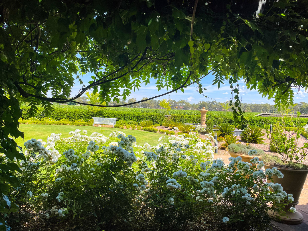Elderton Wines景点图片