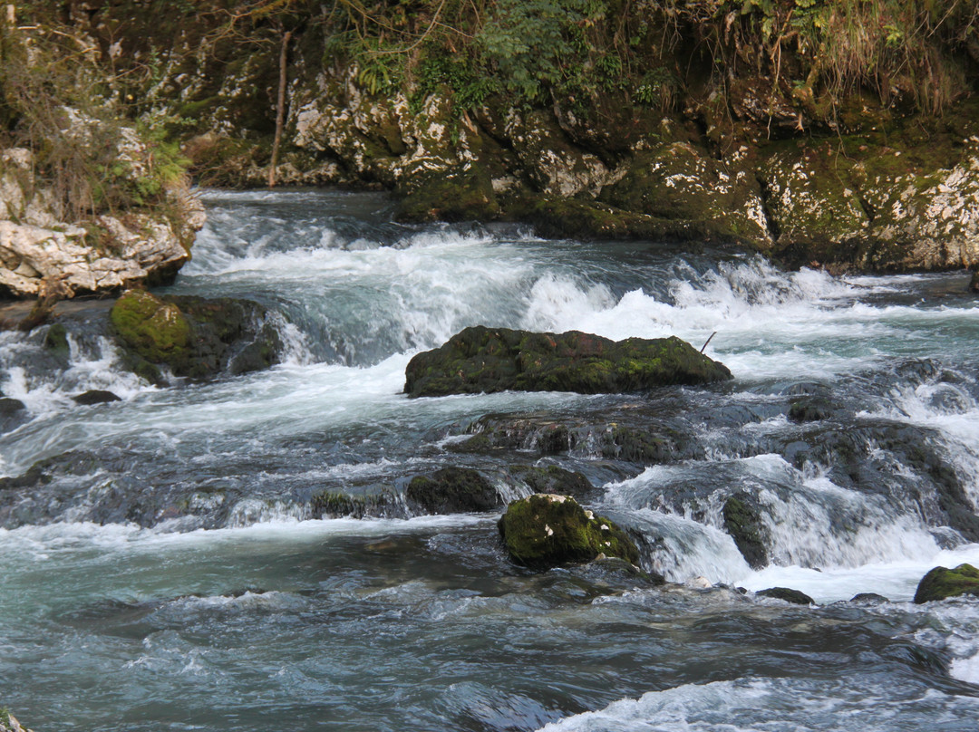 Trout Farm Chernorechenskoye-Gudaut'a必去景点