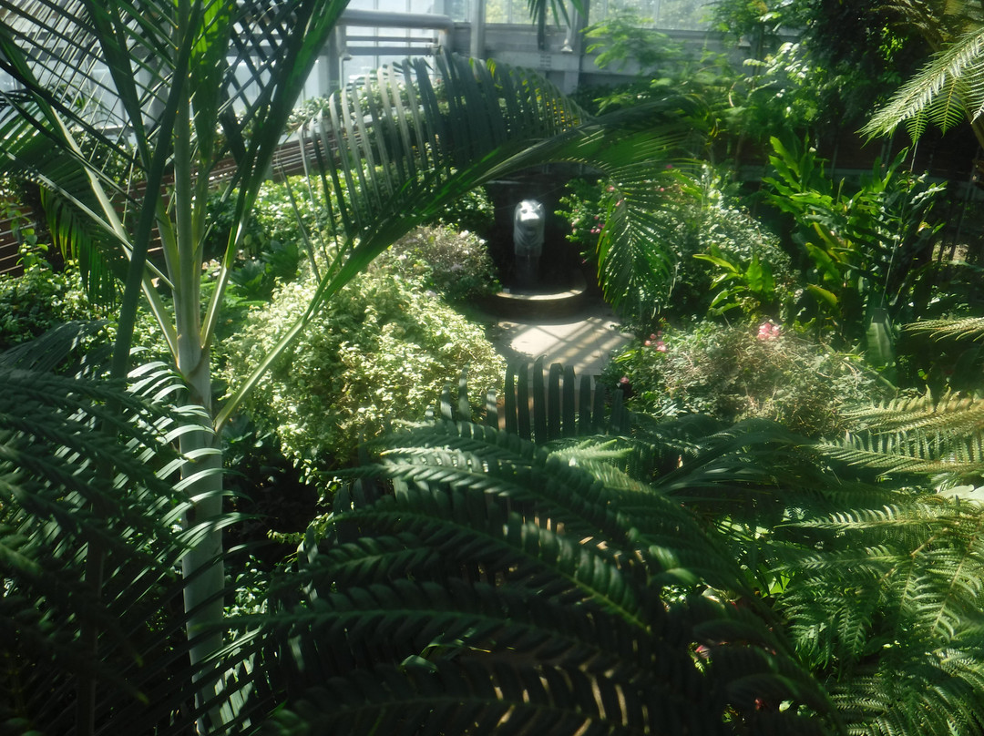 Miyakoh Botanic Garden Aoshima-宫崎市必去景点