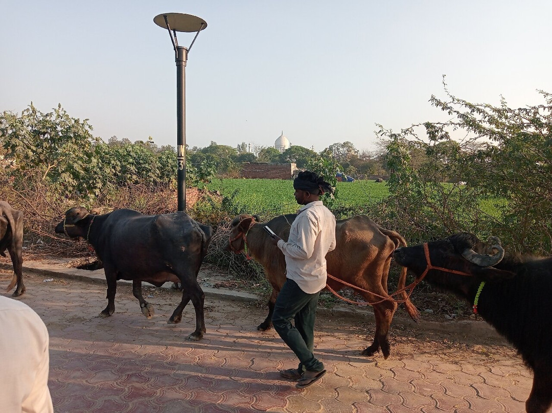 Mughal Heritage Walk景点图片