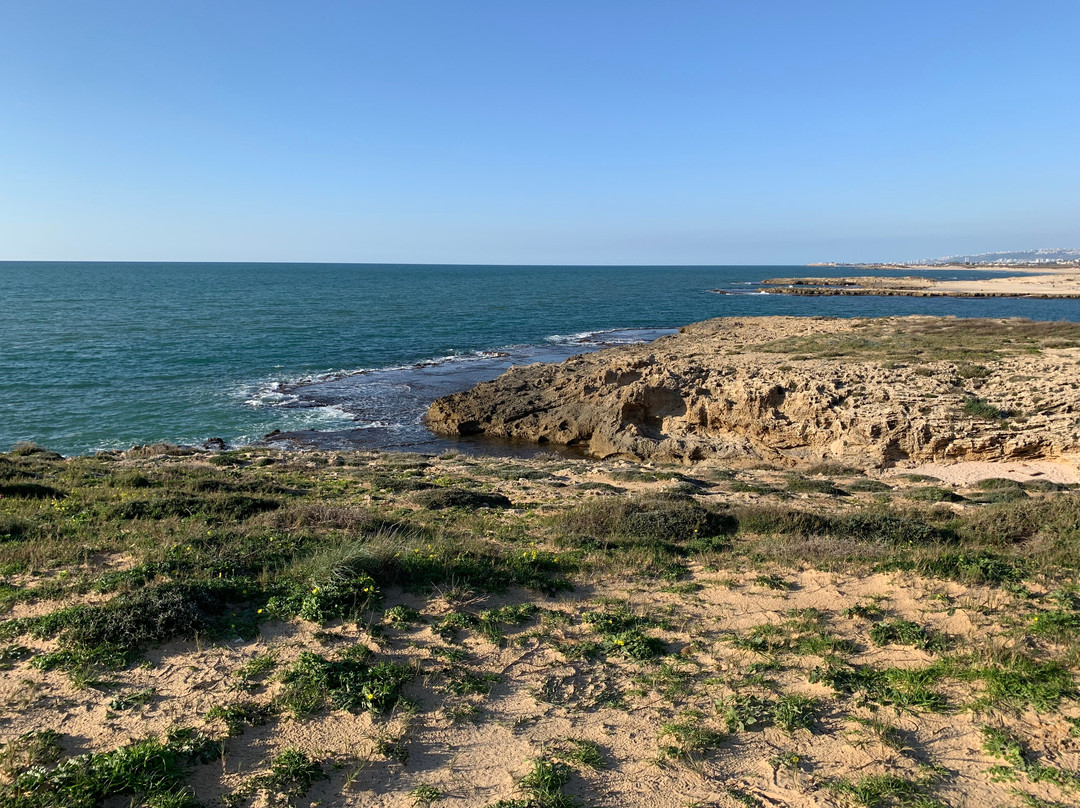 Tel Dor National Park-Nahsholim必去景点