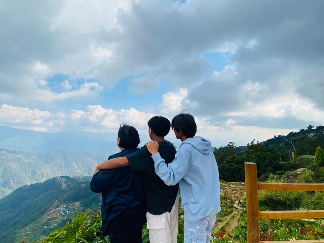 Northern Blossom Flower Farm-Atok必去景点