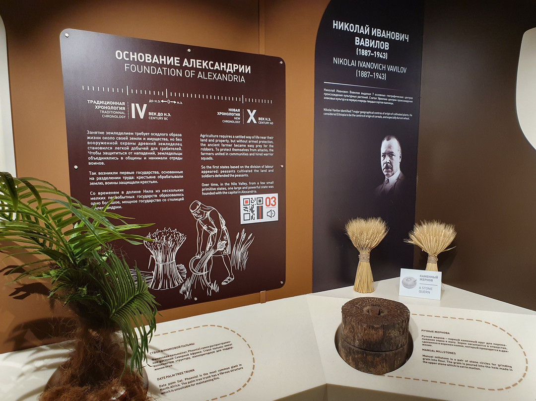 Mul'timediynyy Muzey Novogo Vzglyada Na Istoriyu景点图片
