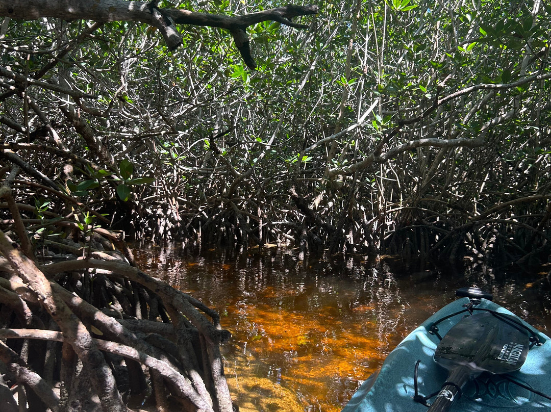 Florida Keys Kayak and Paddleboard景点图片