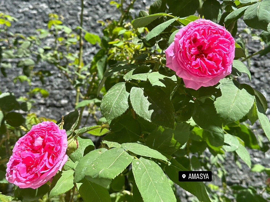 Fimar Life Thermal Resort Hotel主图