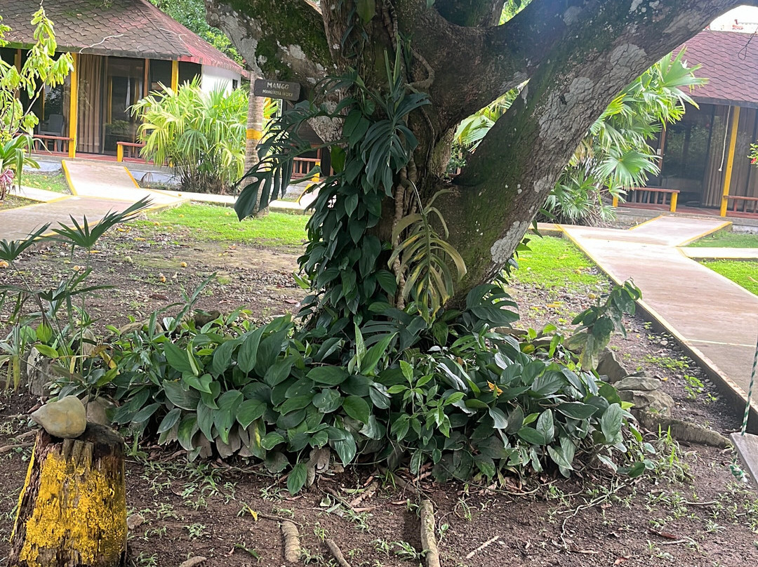 Tacarcuna Lodge主图