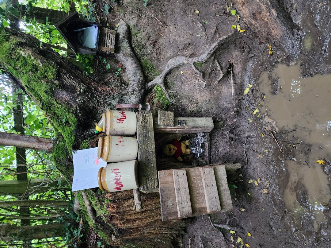 Poohsticks Bridge景点图片