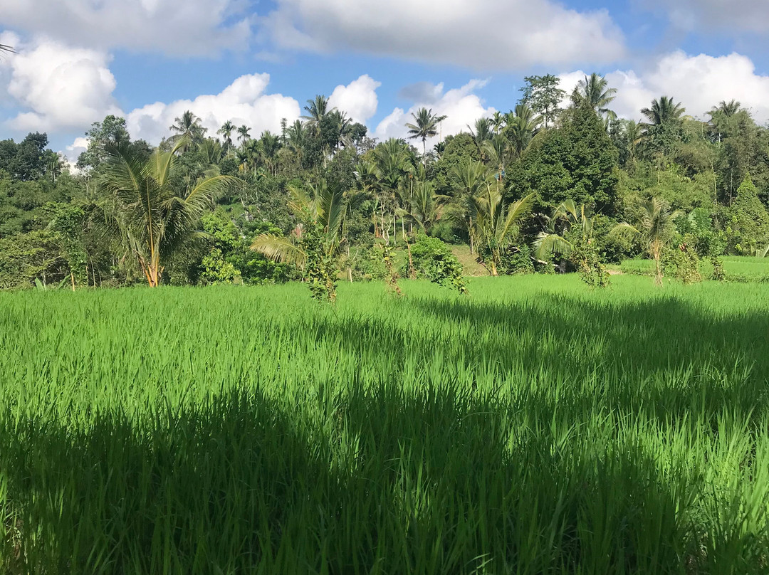 Tetebatu Indah Homestay主图