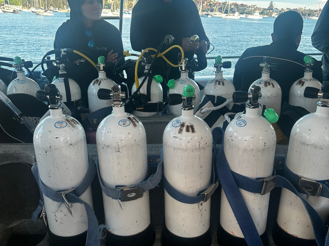 Pro Dive-悉尼必去景点