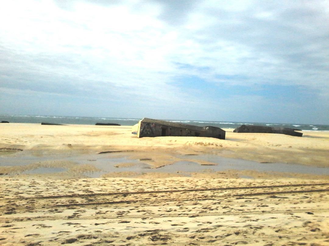Plage de l'Horizon景点图片