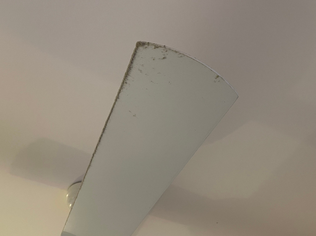 鳄梨日落住宿加早餐酒店主图