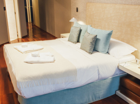 Plaza Real Suites Hotel主图