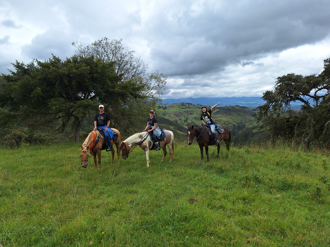 Horse Trekking Ecuador景点图片