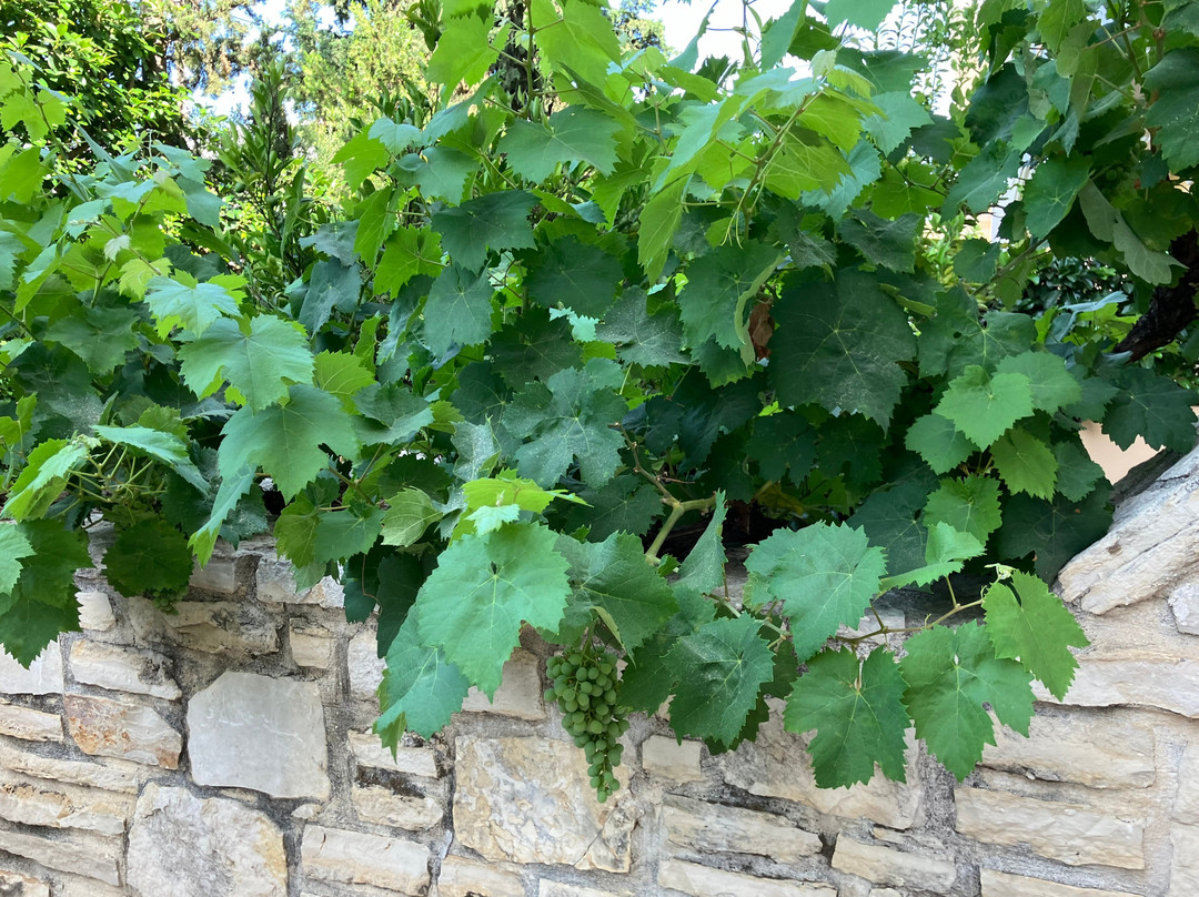 Porto Plakias & Spa主图