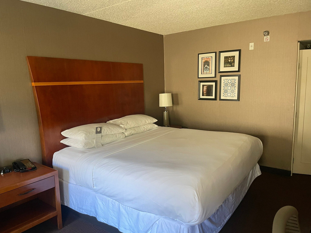 喜来登阿古拉山酒店主图