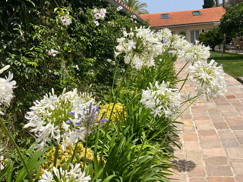 Villa Fabulite主图