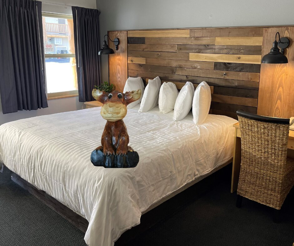 Moose Creek Lodge and Suites主图