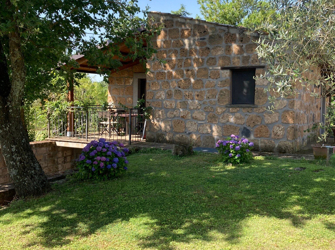 Agriturismo Buriano主图