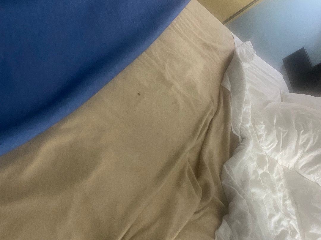 Super 8 by Wyndham Somerset主图