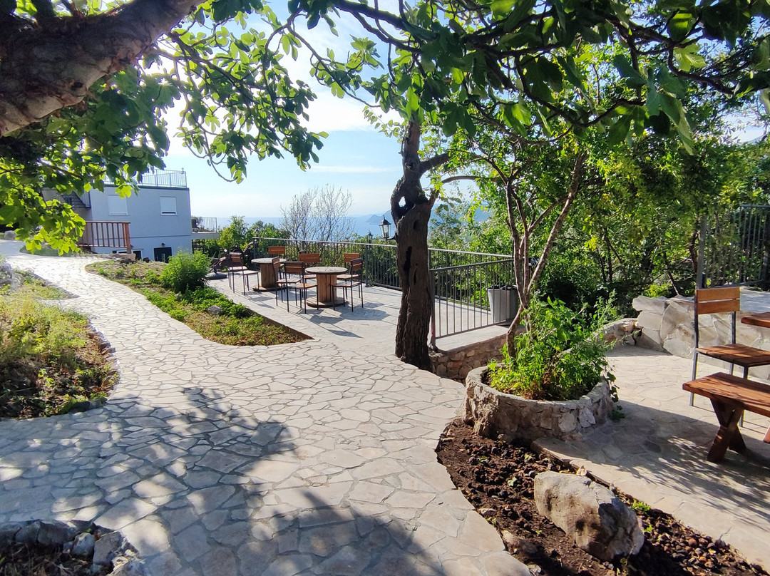 Montenegro Tower-Dubrava必去景点