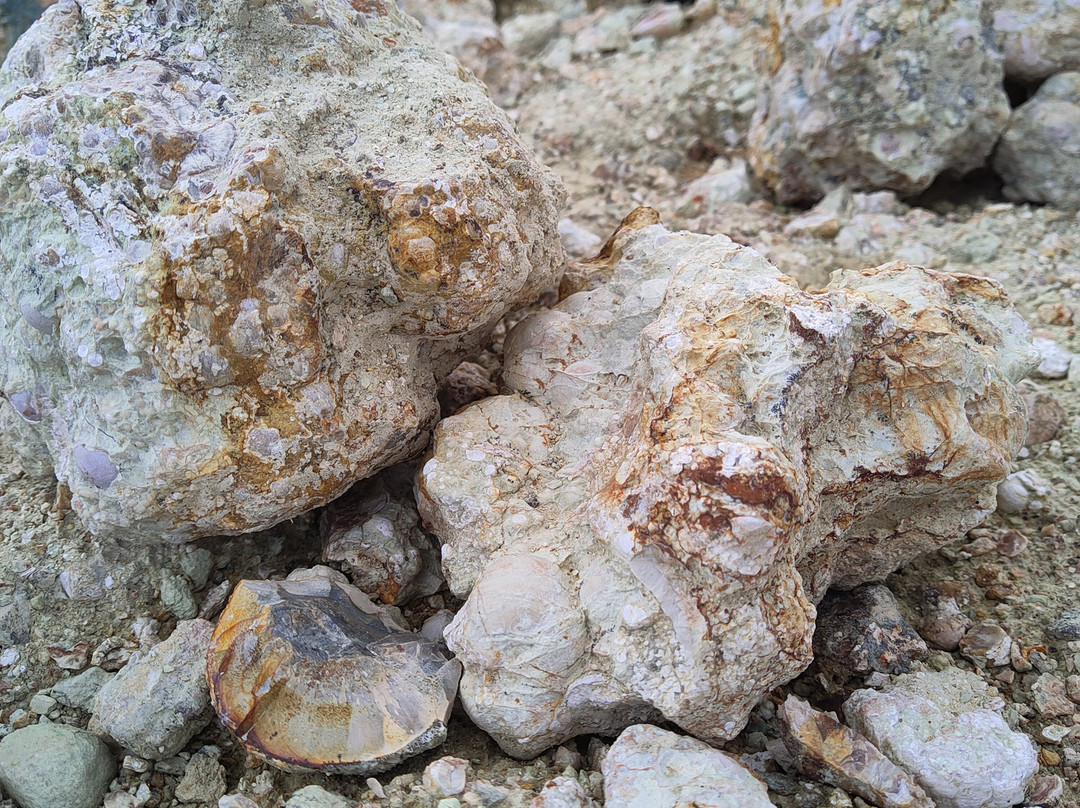 Mine d'agates du Mont Lyall-Sainte Anne des Monts必去景点