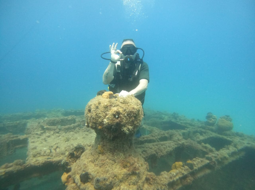Yasmine Dive Center-哈玛麦德必去景点