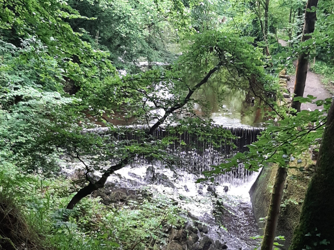 The Coach House Skipton主图