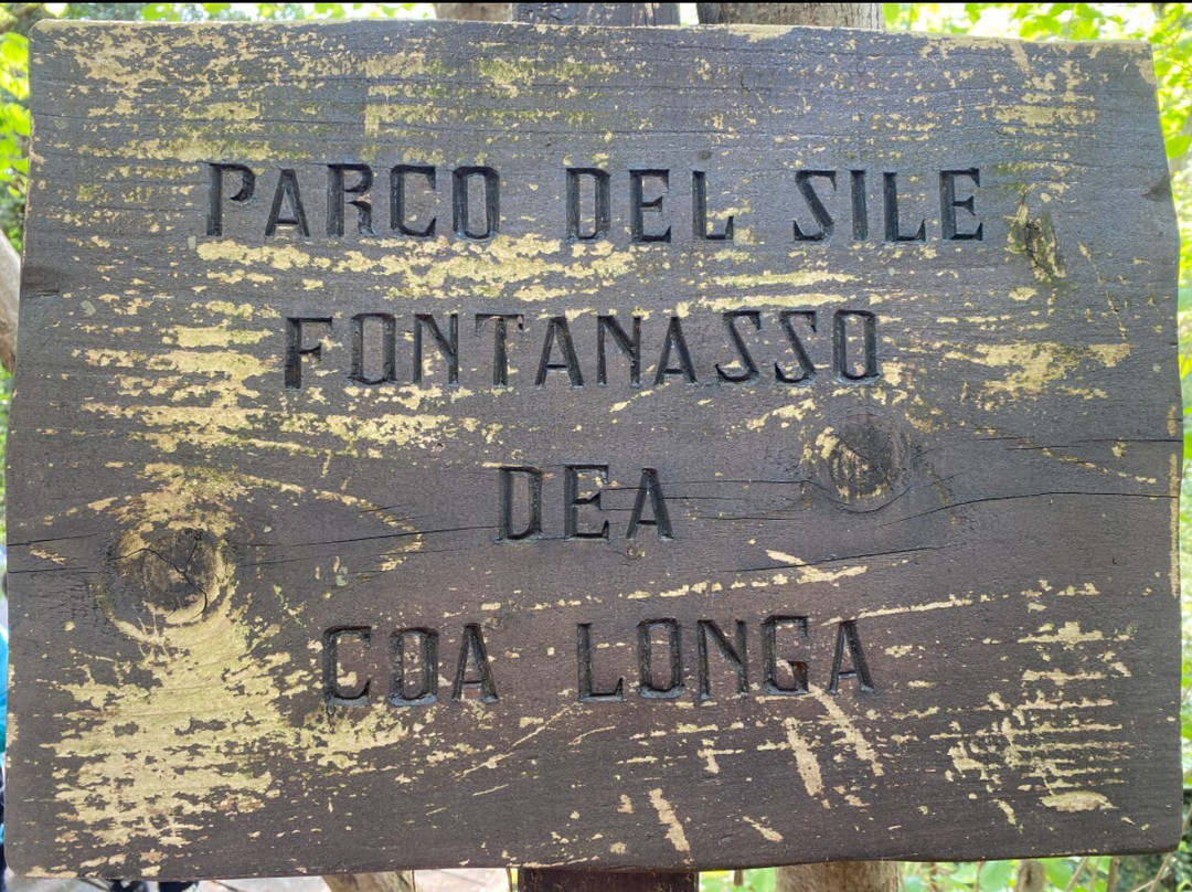 Parco Naturale Regionale del Fiume Sile-特雷维索必去景点