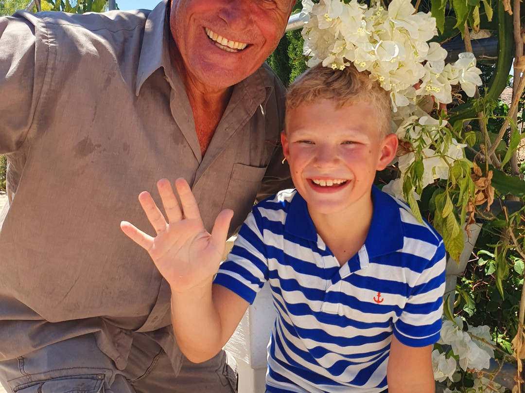 ADONIS Botanic Garden-Akoursos必去景点