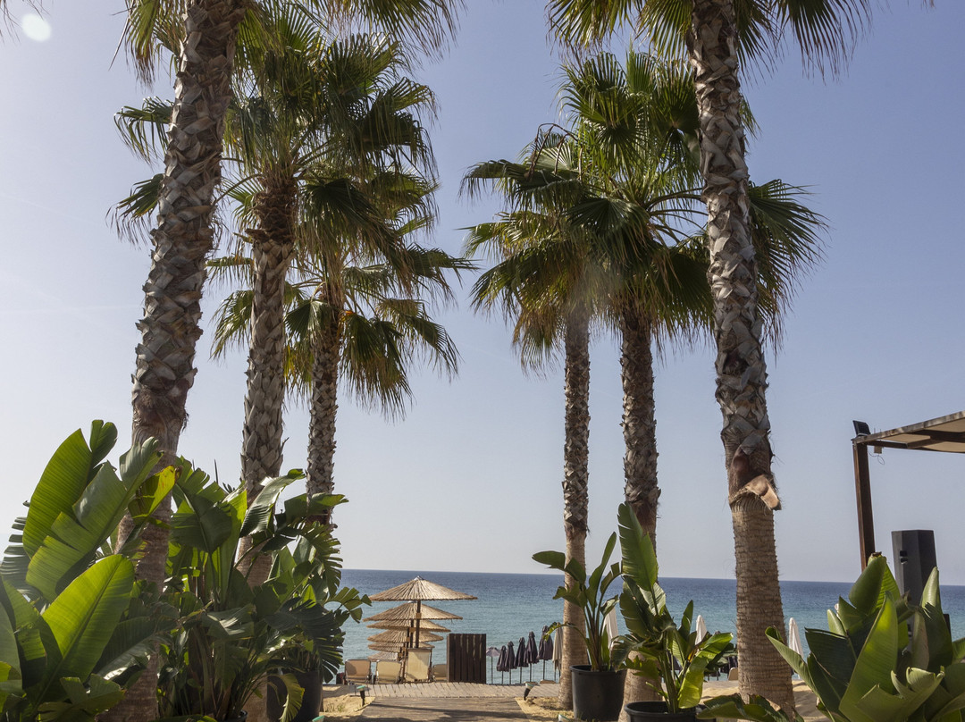Breeze Beach Bar景点图片