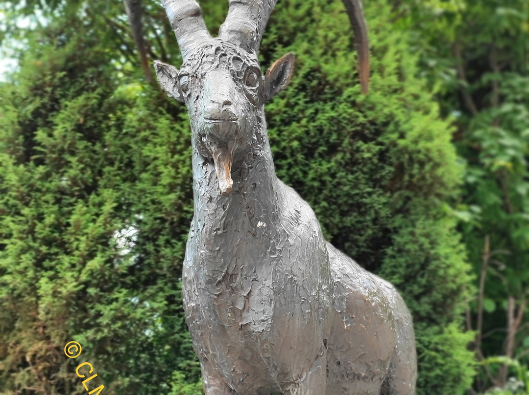 Alpenzoo-茵斯布鲁克必去景点