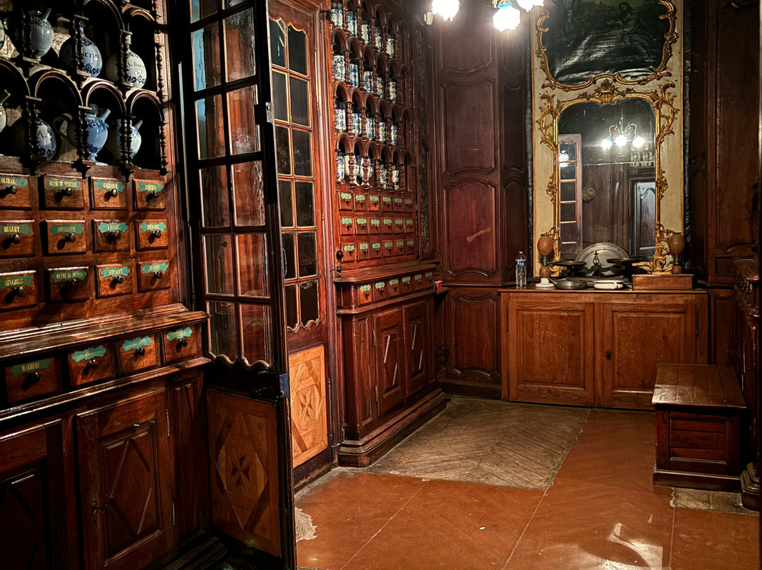 Hôtel-Dieu de Lons-le-Saunier景点图片