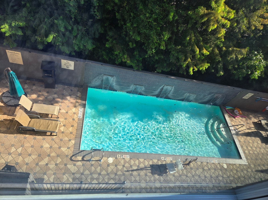 Holiday Inn Covington By IHG主图