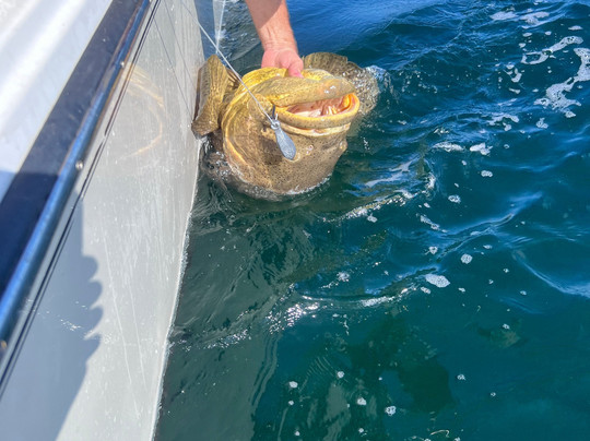 Pale Horse Fishing Charters-迈尔斯堡海滩必去景点