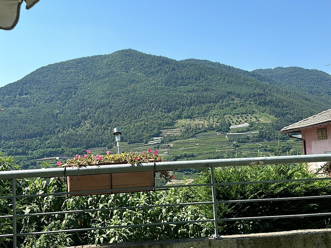 Hotel Alle Piramidi主图