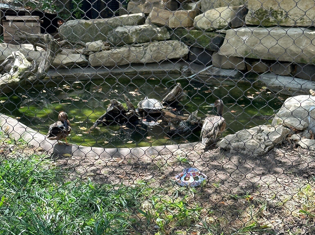 Kansas Wildlife Exhibit-威奇托必去景点